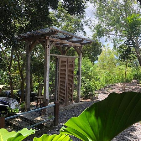 Omah Cantrik, Ethnic Java House With Nature View Jarakan Kültér fotó